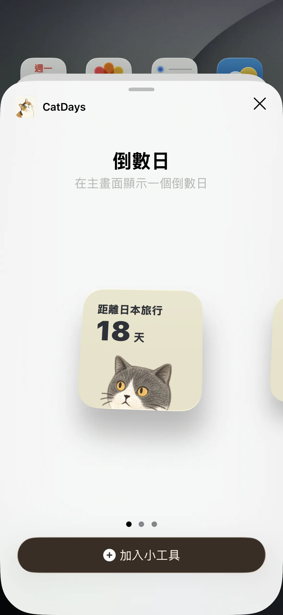 選擇小工具尺寸並加入