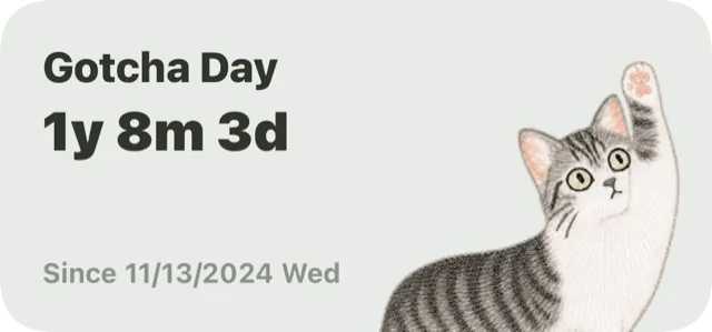 CatDays countdown widget example